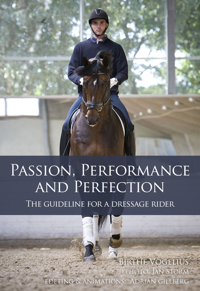 Passion, Perfomance & Perfection (film in english)